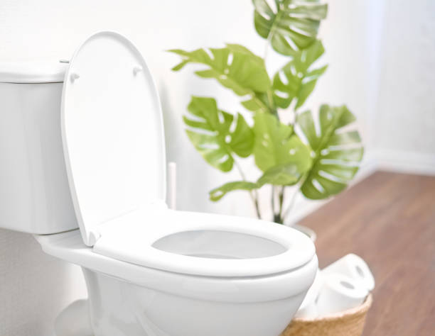 ceramic toilet