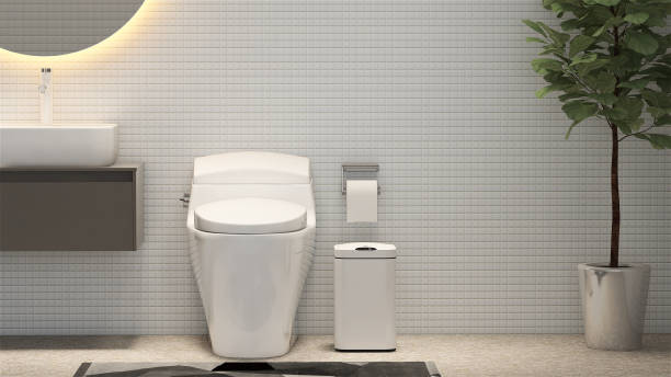 ceramic toilet